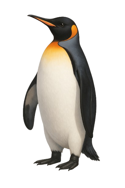 Penguin Project